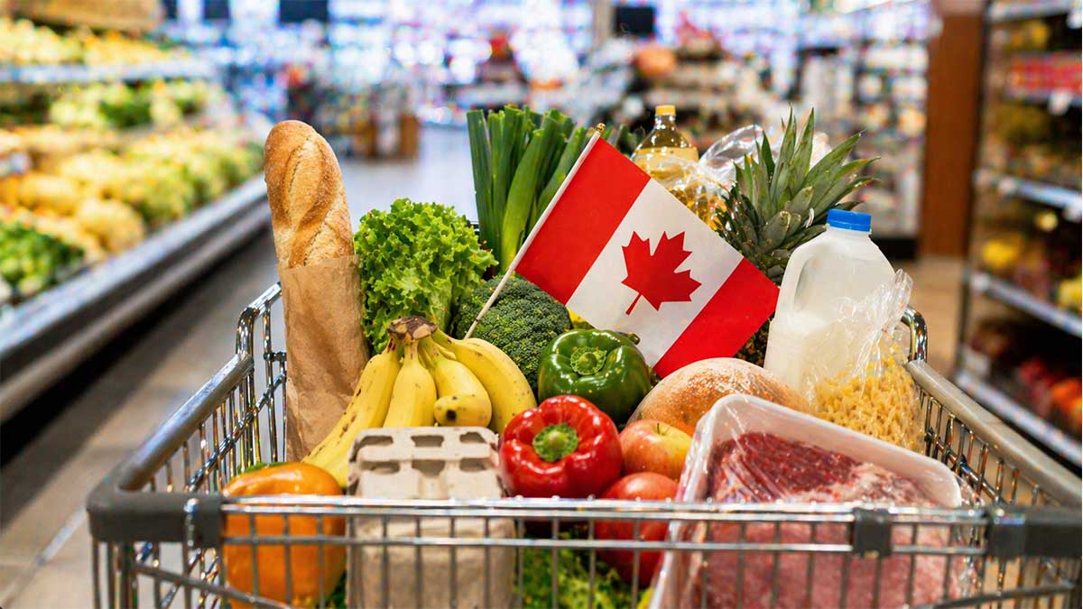Nouvelle prestation canadienne pour l’épicerie et les produits essentiels 2026 : jusqu’à 717 $ versés aux ménages